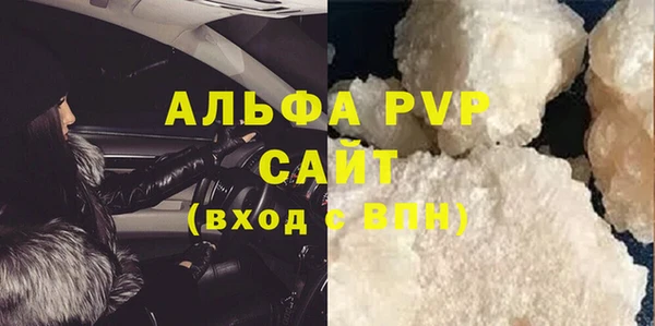 ПСИЛОЦИБИНОВЫЕ ГРИБЫ Бородино