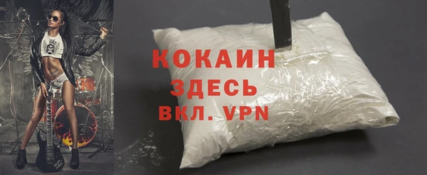 ПСИЛОЦИБИНОВЫЕ ГРИБЫ Бородино