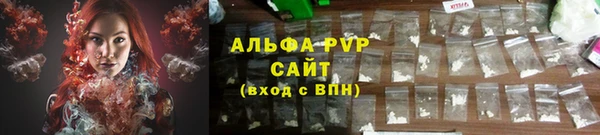 ПСИЛОЦИБИНОВЫЕ ГРИБЫ Бородино
