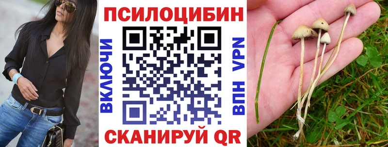 Галлюциногенные грибы прущие грибы  Карачаевск 